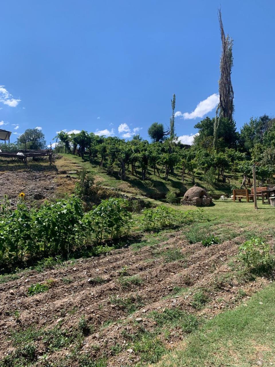 Cabana Cortaderas Mi Campito Cachi Salta Eksteriør billede