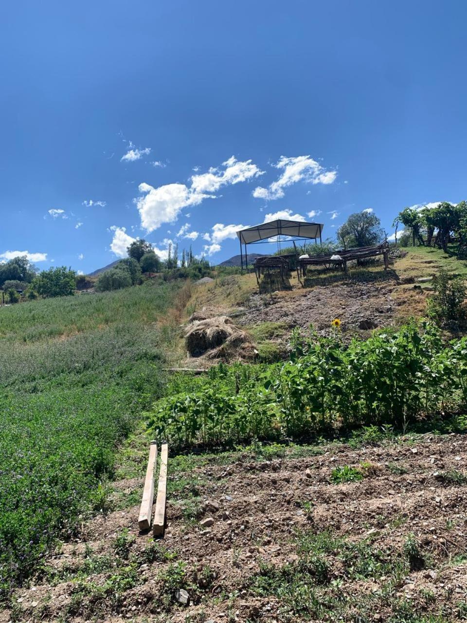 Cabana Cortaderas Mi Campito Cachi Salta Eksteriør billede